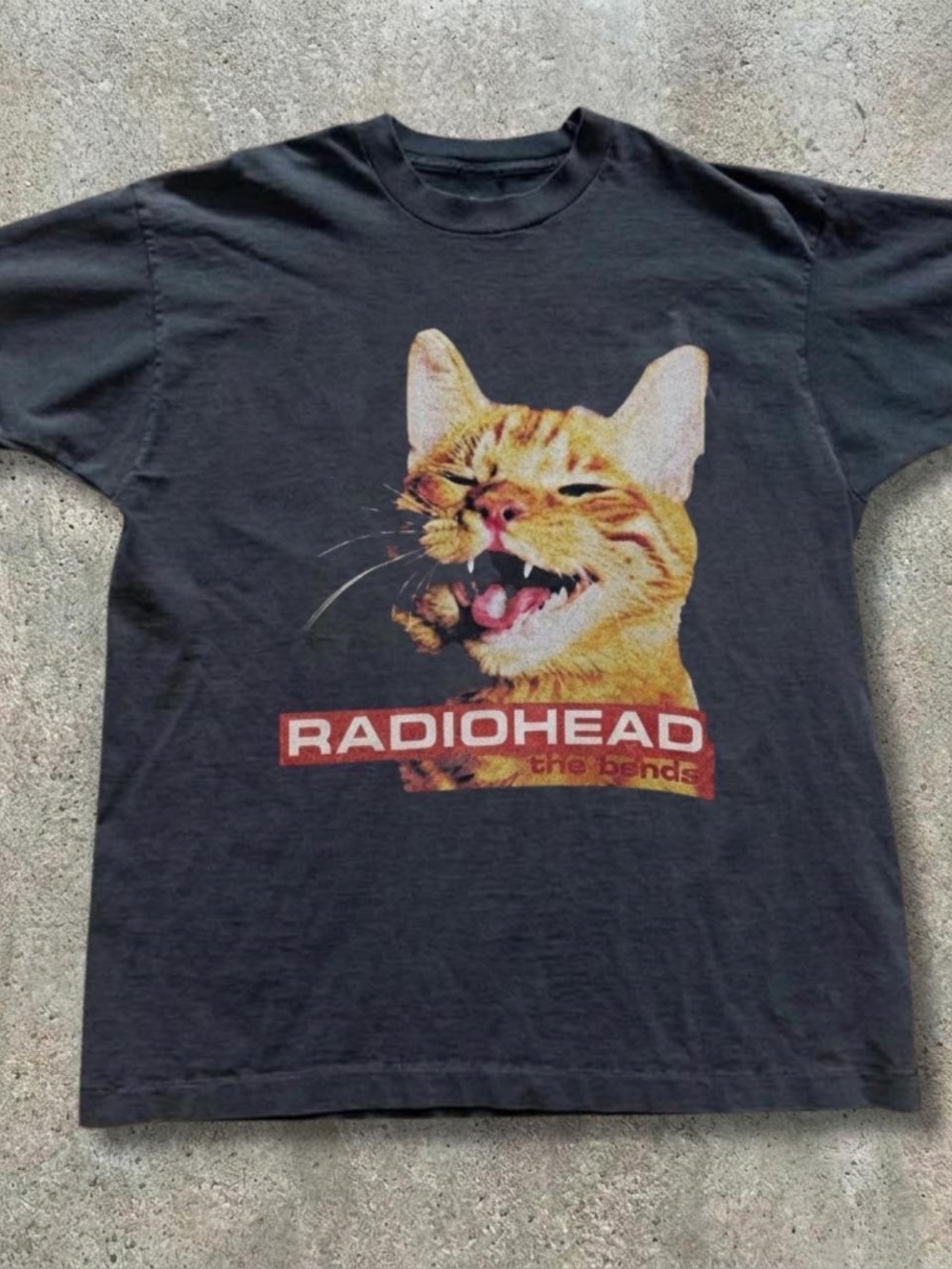 Gildan Black Radiohead Cat Graphic Tee - Orange Cat